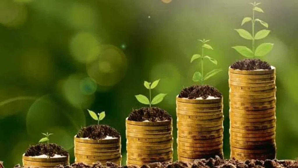 Investment as a Discipline: Crafting Wealth with Patience, Strategy, and Vision